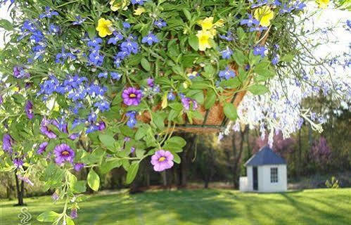 Chestnut Hill Bed & Breakfast 오렌지 외부 사진